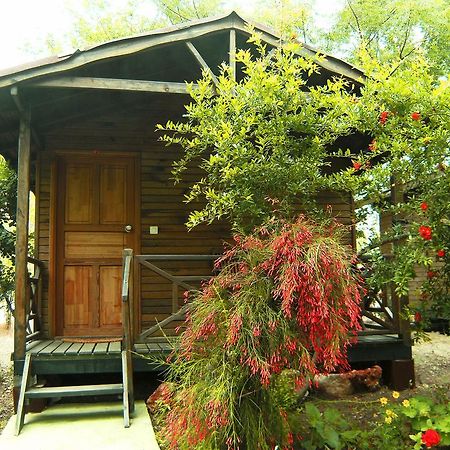 Merhaba Bungalow Hotel Beykonak Cameră foto