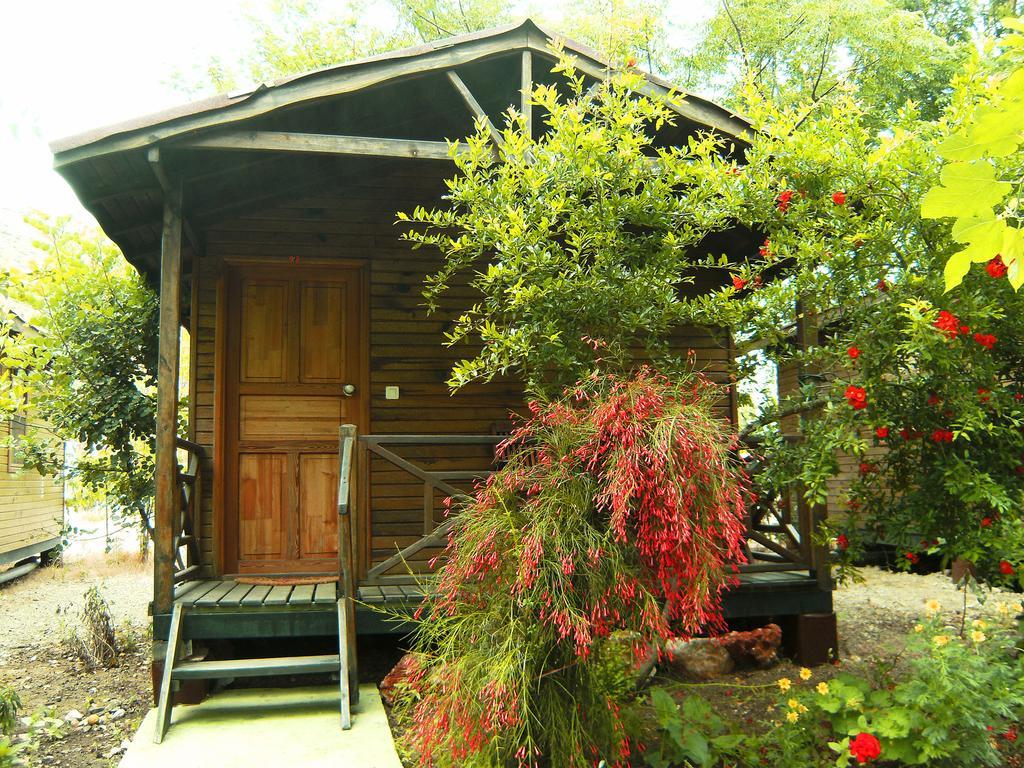 Merhaba Bungalow Hotel Beykonak Cameră foto